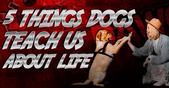 5 Things Dogs Teach Us About Life