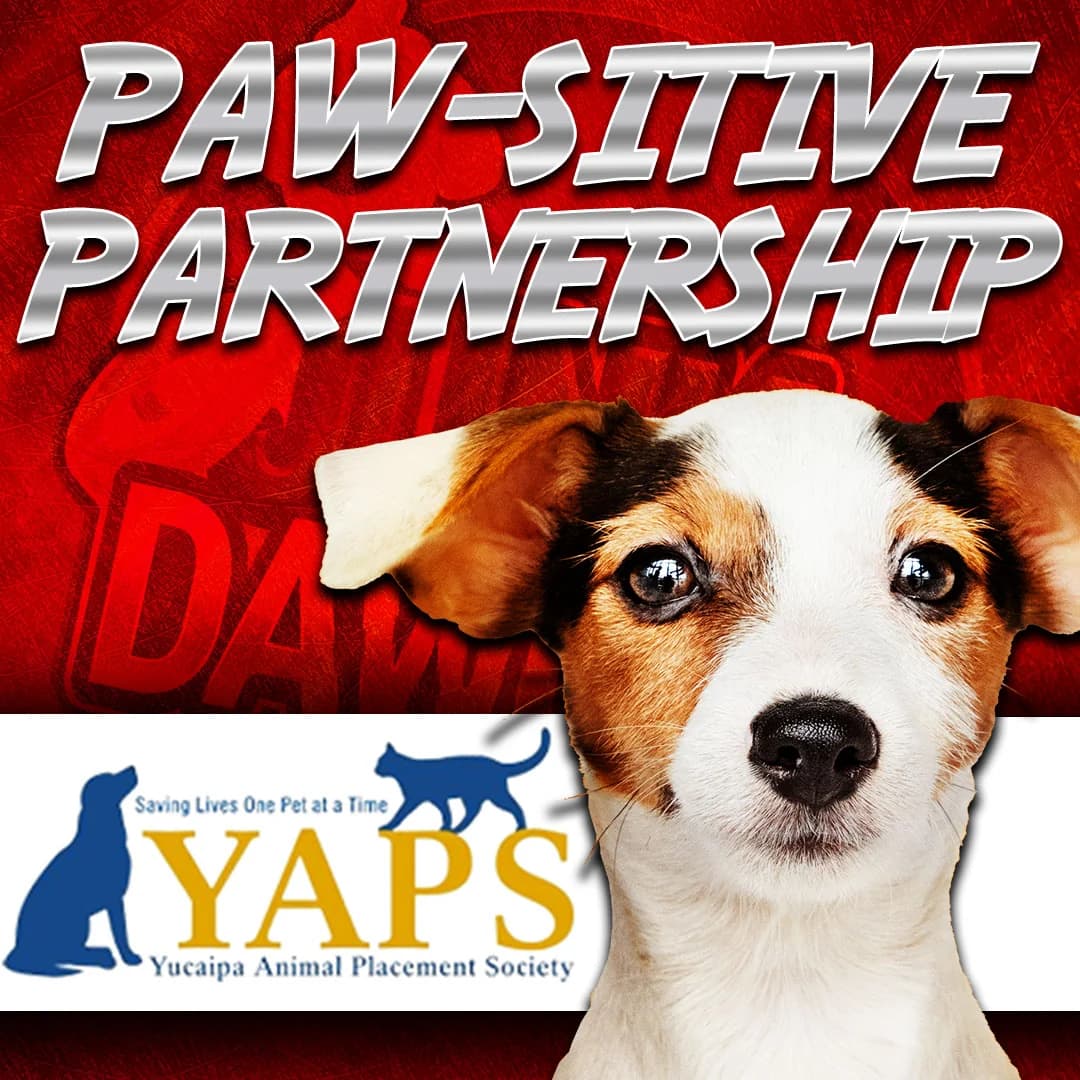 Junk Dawgs Joins Forces with YAPS Animal Rescue in a Paw-sitive Partnership