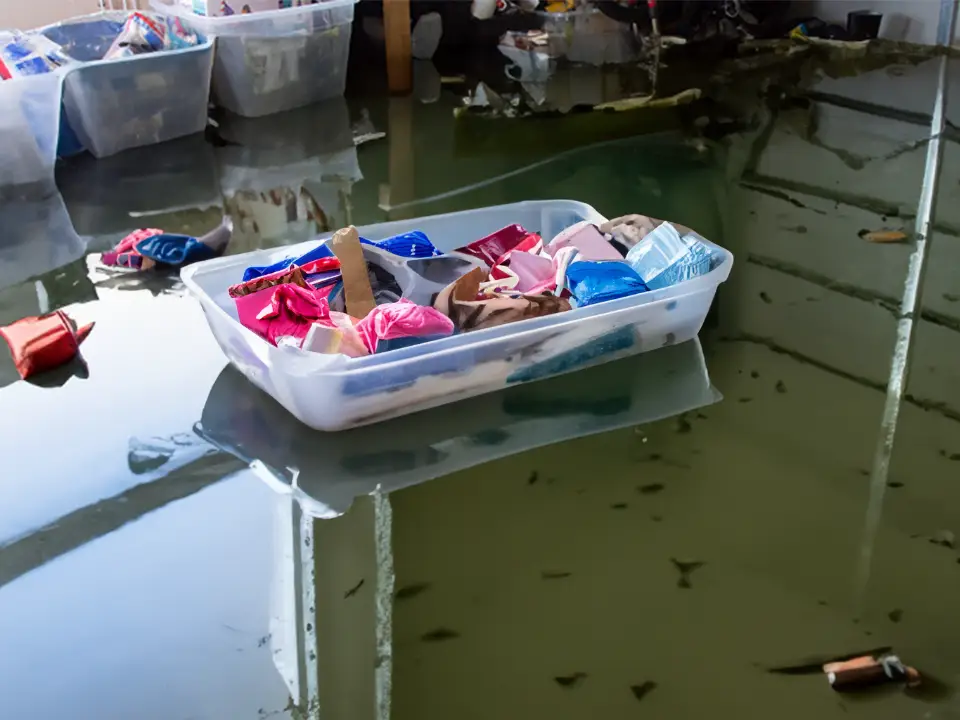 Thinking of a House Cleanout After Heavy Rains?